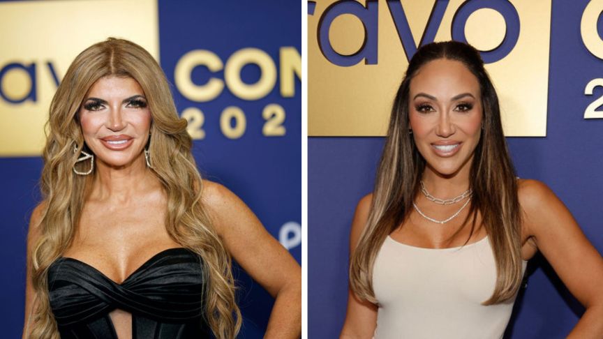 Teresa Giudice and Melissa Gorga