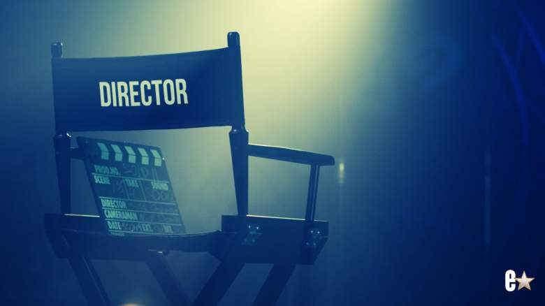 Director chair