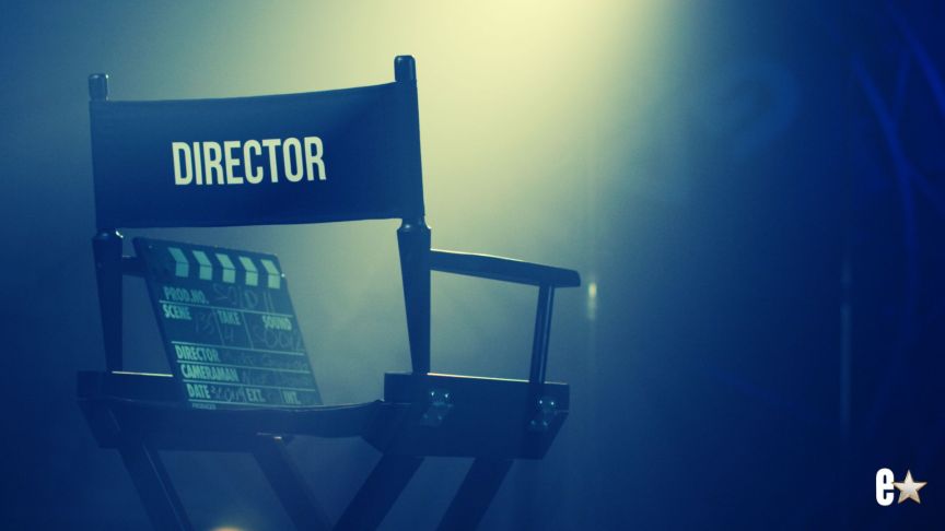 Director chair