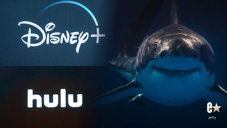 Sharkfest 2026