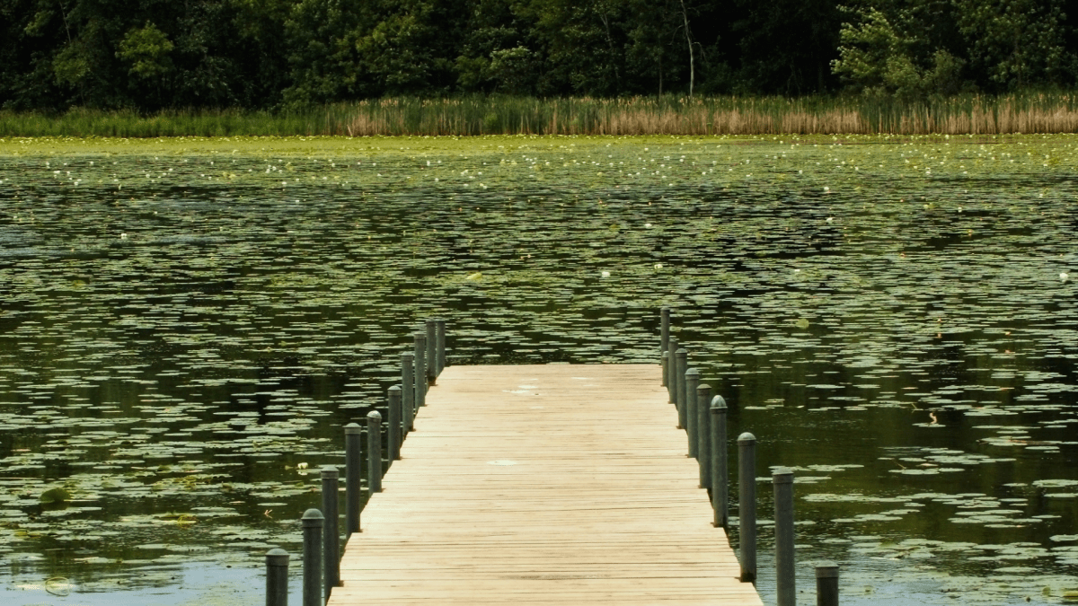 pond dock