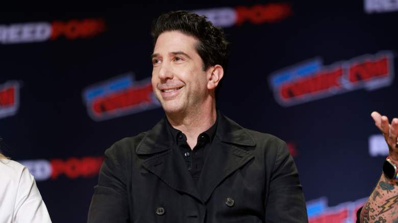 David Schwimmer