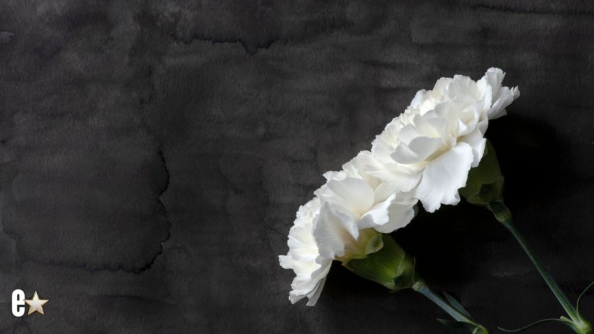 white carnations