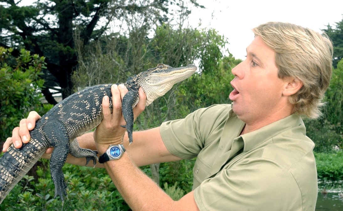 Steve Irwin with a baby alligator.