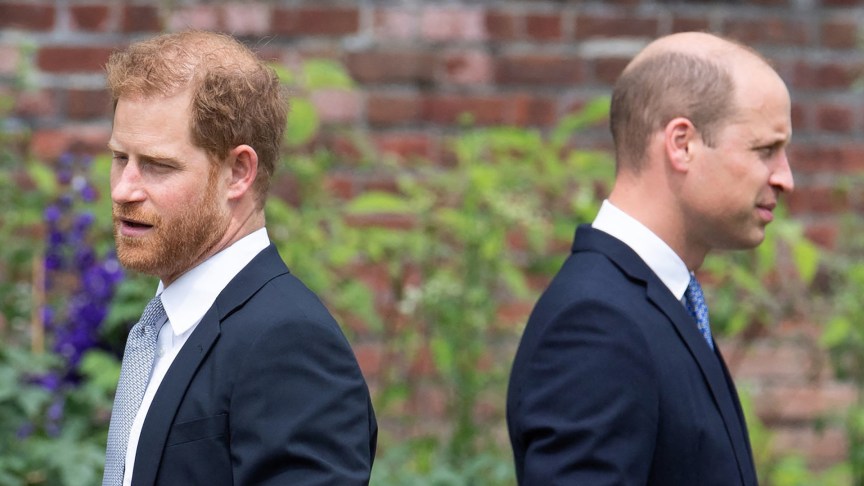 Prince Harry and Prince William.