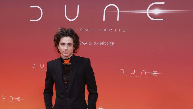 Timothee Chalamet