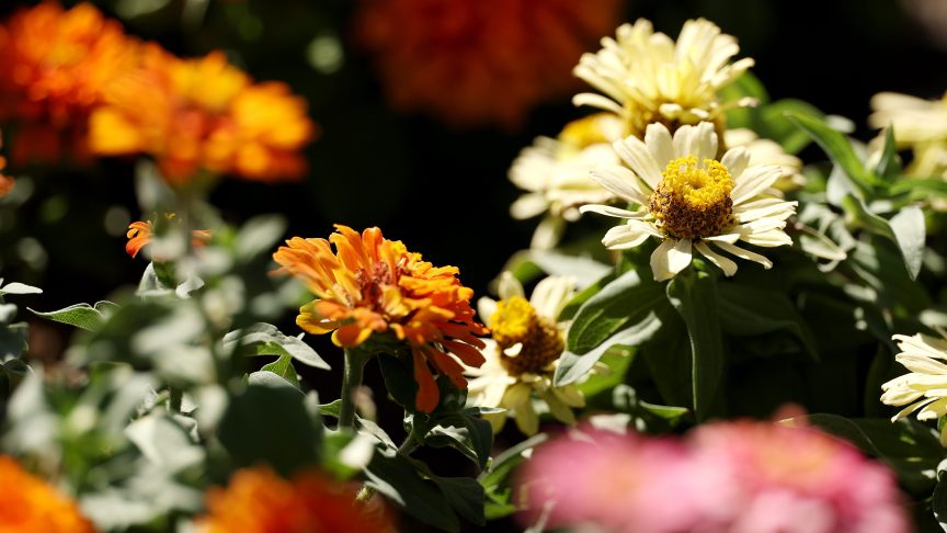 Flowers for Mike Preston.