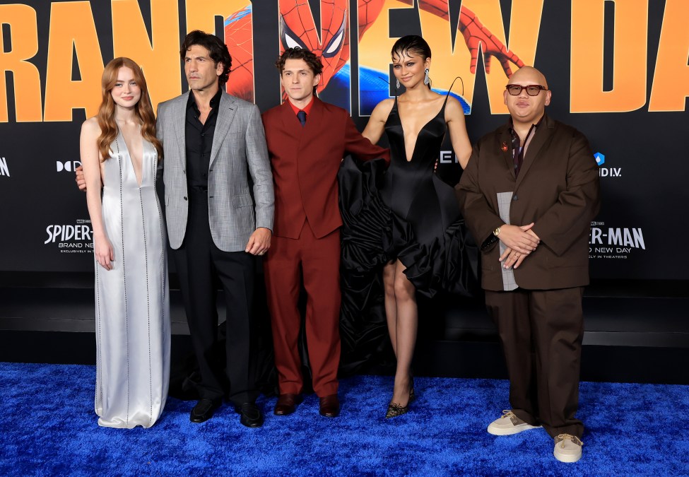 Spider-man brand new day cast