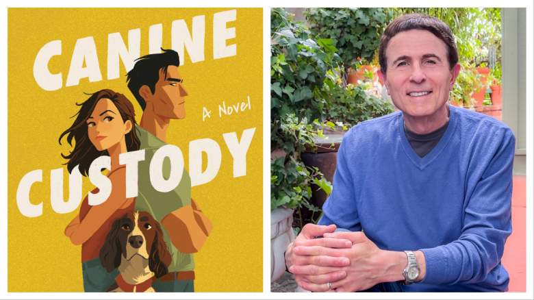 Hallmark screenwriter Gary Goldstein is releasing his 4th novel.