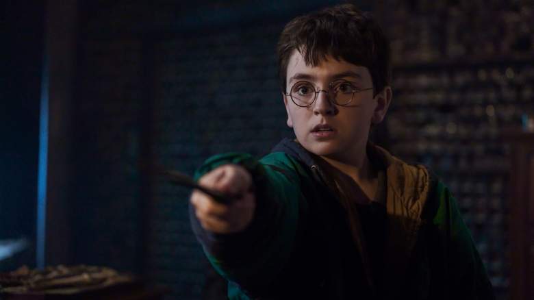 dominic mclaughlin as Harry Potter